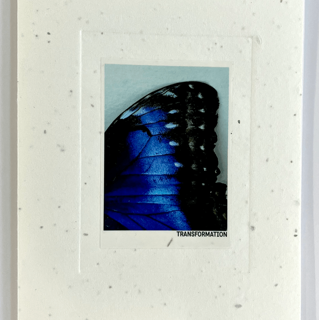 Transformation Photo Book