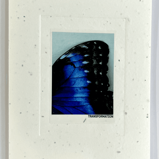 Transformation Photo Book